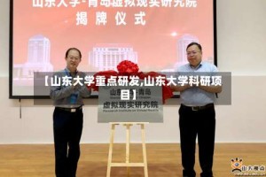 【山东大学重点研发,山东大学科研项目】