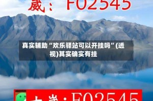 真实辅助“欢乐驿站可以开挂吗”(透视)其实确实有挂