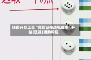 辅助开挂工具“微信链接透视脚本”开挂(透视)辅助教程