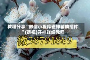 教程分享“微信小程序雀神辅助插件”(透视)开挂详细教程