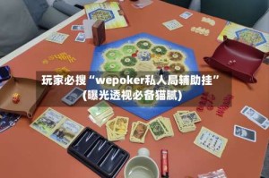 玩家必搜“wepoker私人局辅助挂”(曝光透视必备猫腻)