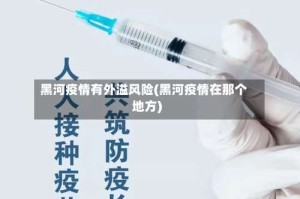 黑河疫情有外溢风险(黑河疫情在那个地方)