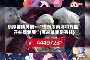 玩家辅助神器：“微乐湖南麻将万能开挂器免费”(原来确实是有挂)