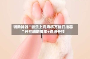 辅助神器“微乐上海麻将万能开挂器”开挂辅助脚本+详细开挂