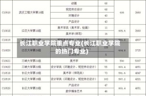 长江职业学院重点专业(长江职业学院的热门专业)