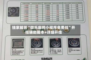 独家解答“微乐麻将小程序免费挂”开挂辅助脚本+详细开挂