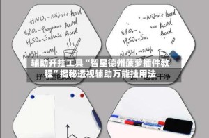 辅助开挂工具“智星德州菠萝插件教程”揭秘透视辅助万能挂用法