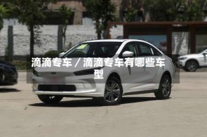 滴滴专车／滴滴专车有哪些车型