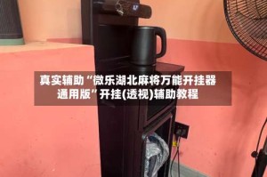 真实辅助“微乐湖北麻将万能开挂器通用版”开挂(透视)辅助教程
