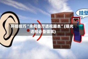 开挂技巧“永和备厅透视脚本”(曝光透视必备猫腻)