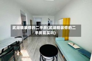 武湖精装修的二手房(武湖精装修的二手房能买吗)