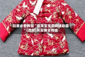 玩家必看教程“临海宝宝游戏辅助器”(透视)其实确实有挂