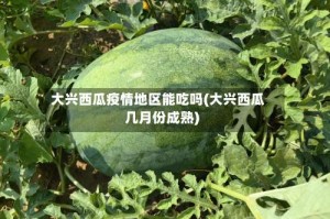 大兴西瓜疫情地区能吃吗(大兴西瓜几月份成熟)