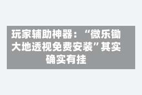 玩家辅助神器：“微乐锄大地透视免费安装”其实确实有挂