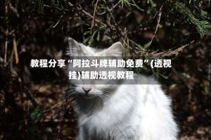 教程分享“阿拉斗牌辅助免费”(透视挂)辅助透视教程