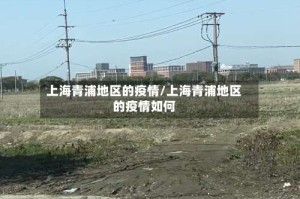 上海青浦地区的疫情/上海青浦地区的疫情如何
