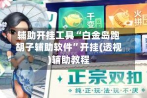 辅助开挂工具“白金岛跑胡子辅助软件”开挂(透视)辅助教程