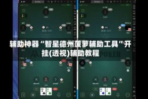 辅助神器“智星德州菠萝辅助工具”开挂(透视)辅助教程