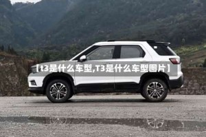 【t3是什么车型,T3是什么车型图片】