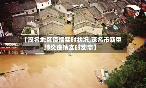 【茂名地区疫情实时状况,茂名市新型肺炎疫情实时动态】-第3张图片