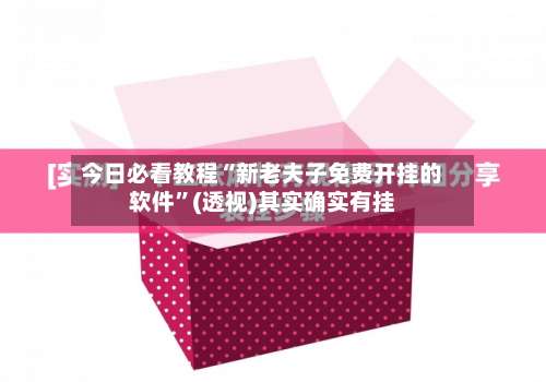 今日必看教程“新老夫子免费开挂的软件”(透视)其实确实有挂-第2张图片