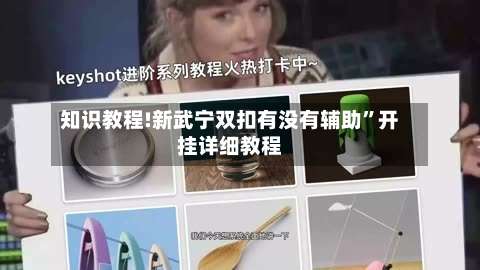 知识教程!新武宁双扣有没有辅助	”开挂详细教程-第2张图片