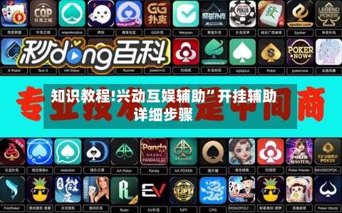 知识教程!兴动互娱辅助”开挂辅助详细步骤-第3张图片