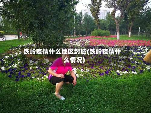 铁岭疫情什么地区封城(铁岭疫情什么情况)-第1张图片