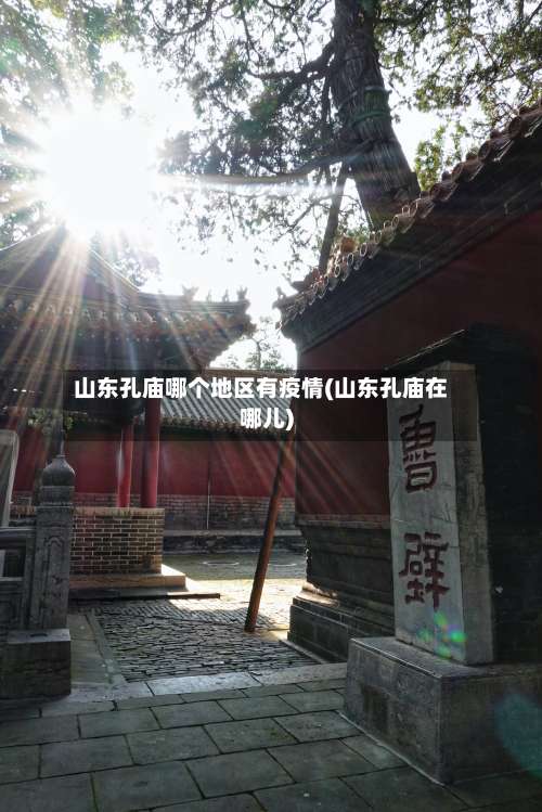 山东孔庙哪个地区有疫情(山东孔庙在哪儿)-第3张图片