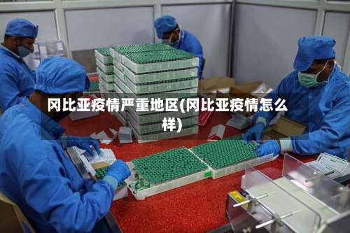 冈比亚疫情严重地区(冈比亚疫情怎么样)-第3张图片