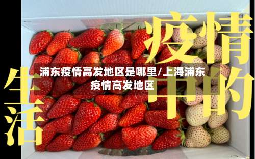 浦东疫情高发地区是哪里/上海浦东疫情高发地区-第1张图片