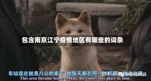 包含南京江宁疫情地区有哪些的词条-第2张图片