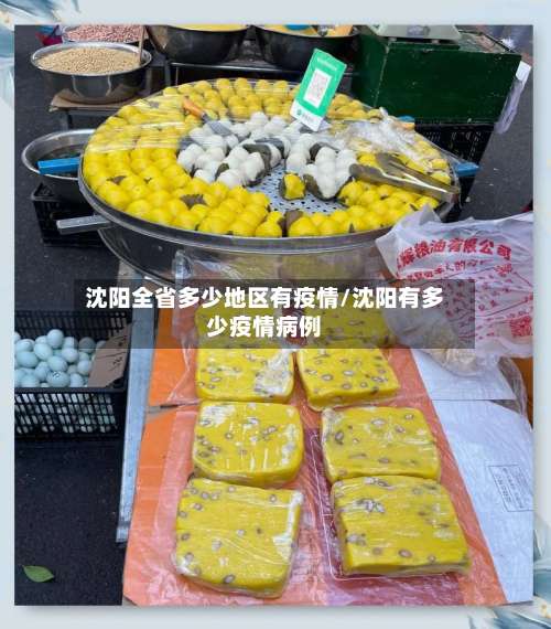 沈阳全省多少地区有疫情/沈阳有多少疫情病例-第1张图片