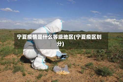 宁夏疫情是什么等级地区(宁夏疫区划分)-第2张图片