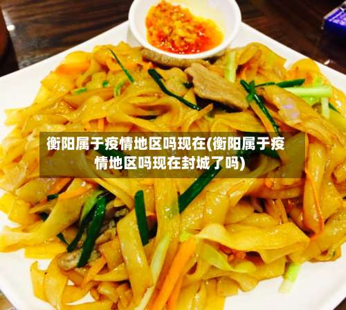 衡阳属于疫情地区吗现在(衡阳属于疫情地区吗现在封城了吗)-第1张图片