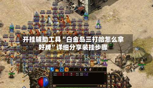 开挂辅助工具“白金岛三打哈怎么拿好牌	”详细分享装挂步骤-第1张图片