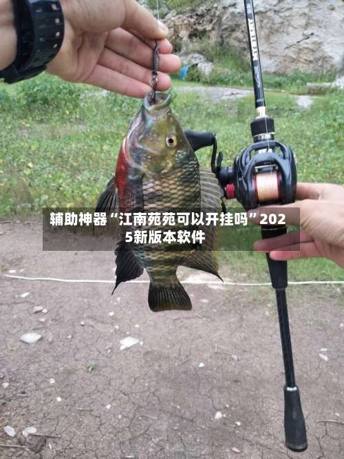 辅助神器“江南苑苑可以开挂吗”2025新版本软件-第3张图片