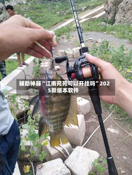 辅助神器“江南苑苑可以开挂吗	”2025新版本软件-第1张图片