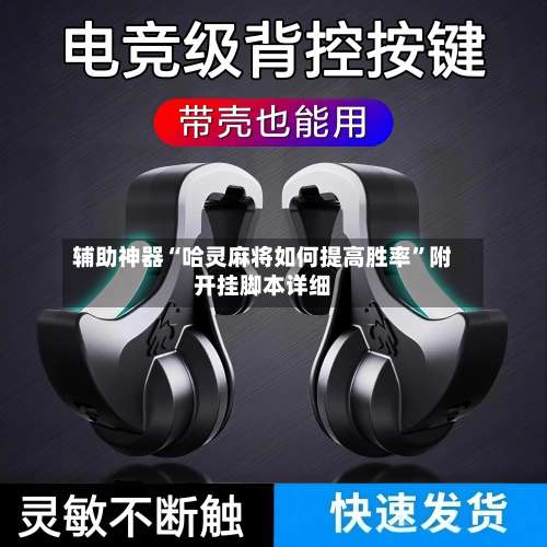 辅助神器“哈灵麻将如何提高胜率”附开挂脚本详细-第2张图片