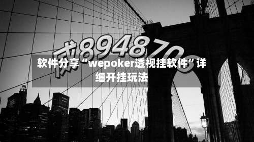 软件分享“wepoker透视挂软件	”详细开挂玩法-第1张图片