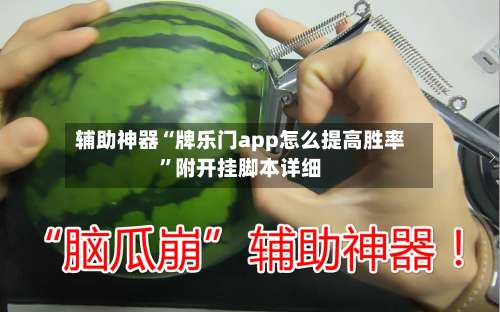 辅助神器“牌乐门app怎么提高胜率”附开挂脚本详细-第2张图片