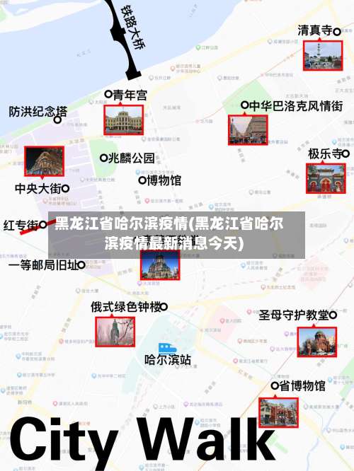 黑龙江省哈尔滨疫情(黑龙江省哈尔滨疫情最新消息今天)-第3张图片