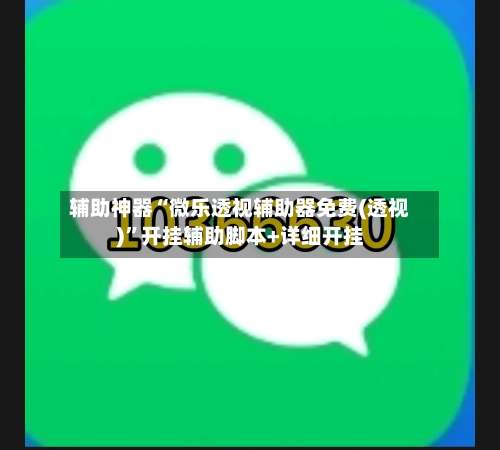 辅助神器“微乐透视辅助器免费(透视)”开挂辅助脚本+详细开挂-第2张图片