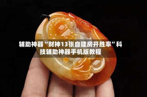 辅助神器“财神13张自建房开胜率	”科技辅助神器手机版教程-第2张图片