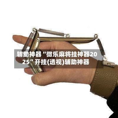 辅助神器“微乐麻将挂神器2025	”开挂(透视)辅助神器-第1张图片