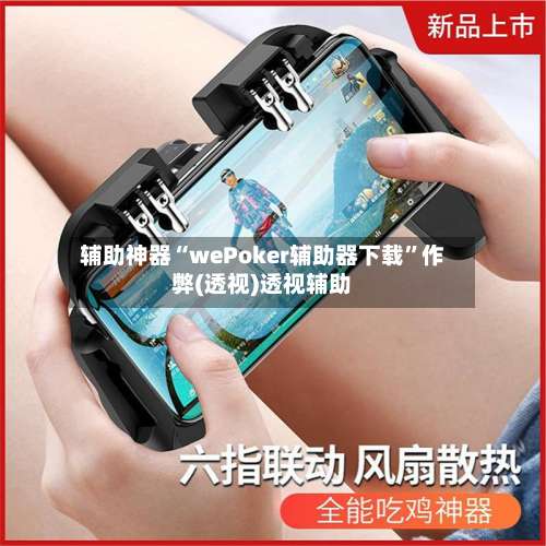 辅助神器“wePoker辅助器下载	”作弊(透视)透视辅助-第2张图片