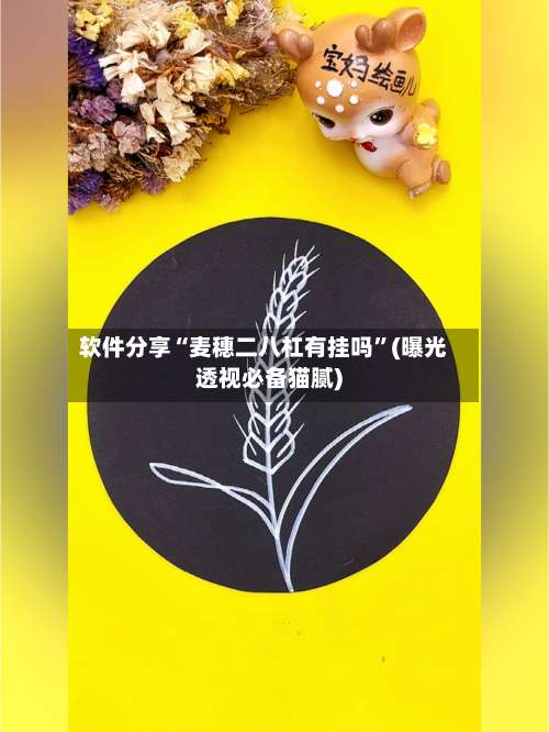 软件分享“麦穗二八杠有挂吗	”(曝光透视必备猫腻)-第2张图片