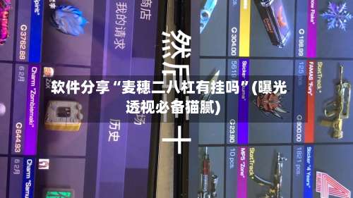 软件分享“麦穗二八杠有挂吗”(曝光透视必备猫腻)-第1张图片