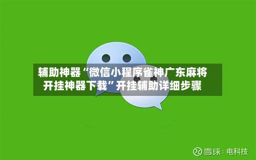 辅助神器“微信小程序雀神广东麻将开挂神器下载”开挂辅助详细步骤-第2张图片