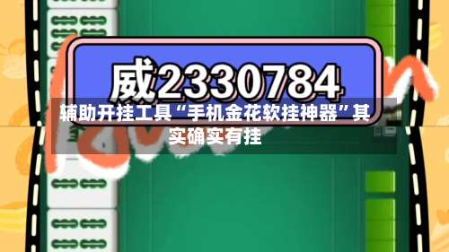 辅助开挂工具“手机金花软挂神器	”其实确实有挂-第2张图片